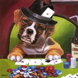 Just a dog that plays poker n trades stocks.