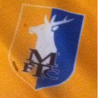 Stags (@mansfieldtown1) 's Twitter Profile