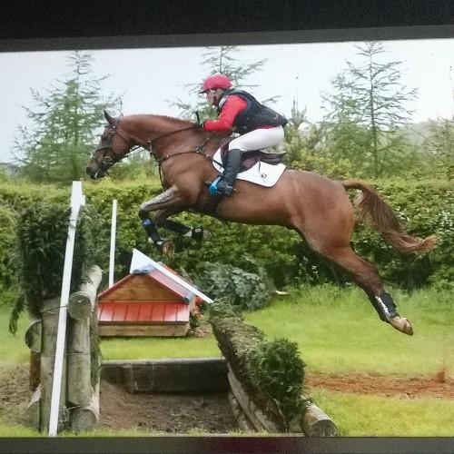 Amateur event rider. works hard to fund my addiction of eventing!!!
