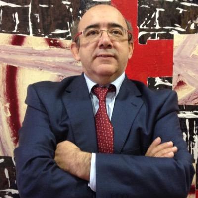 Presidente de Fidages Consultora Internacional de Mercados.
Economista y Auditor.