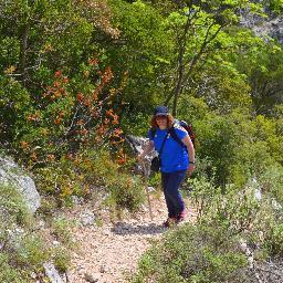 0c5ec5a30ea548b's profile picture. 