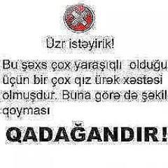 FiruzAbbas's profile picture. 