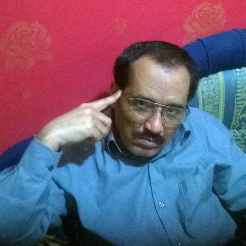 anishtain's profile picture. اقتصادي