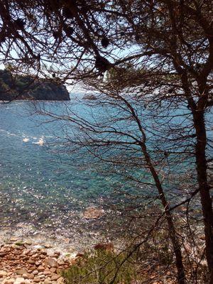 merce_av's profile picture. 