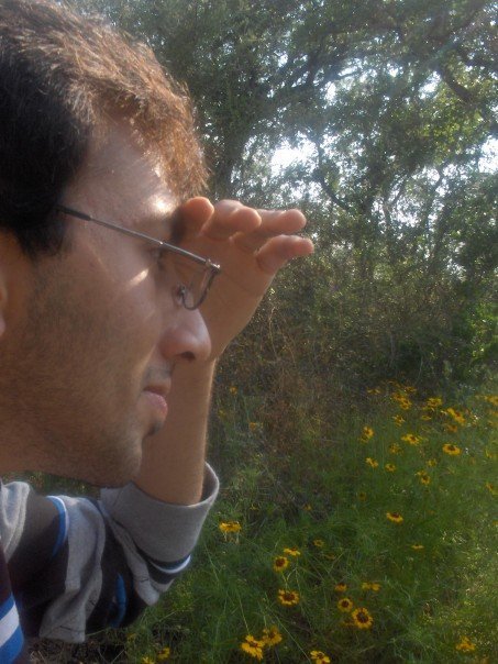 pratincola's profile picture. 