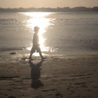 Alastair Stark (@alastair_stark) 's Twitter Profile