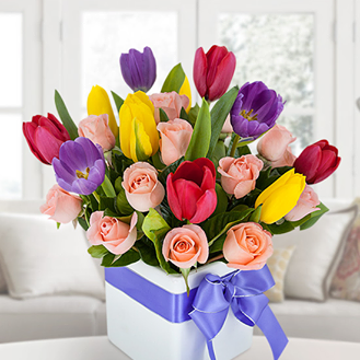 MENDEZG126's profile picture. 