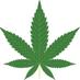 Cannabis Picz (@cannapicz) Twitter profile photo Cannabis Picz (@cannapicz) Twitter profile photo