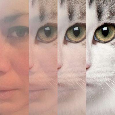 Carmengato's profile picture. Engineer in Agronomy; technical assistant, sustainable development, gender specialist, climate change activist, and nature lover. Member of @rclimatica