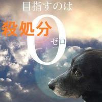 殺処分をなくそう (@nekogazou1720) 's Twitter Profile Photo