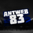 Antweb83HD
