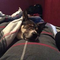 Stephanie (@stwilkins) 's Twitter Profile