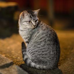 高校生の頃からニキビに悩まされ続け、人から見られるのが嫌で、自分に全く自信がなかった私、やまだ。そんな私が20代半ばにして、ついにであった、最高のニキビ改善方法があったのでシェアします。この方法を実践したことで、人生が劇的に変化しました。その方法は現在無料で公開中なので興味のある方は覗いてみてください！