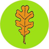Estudio Roble (@estudioroble) 's Twitter Profile
