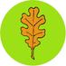 Estudio Roble (@estudioroble) Twitter profile photo Estudio Roble (@estudioroble) Twitter profile photo