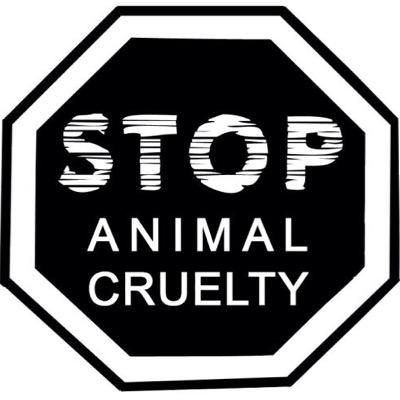 Tweets with replies by STOP Animal Cruelty (@battlingABUSE) | Twitter