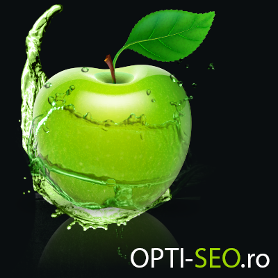 Optimizare SEO si Promovare Web