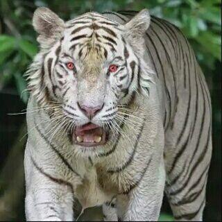 TqqjssmT's profile picture. 