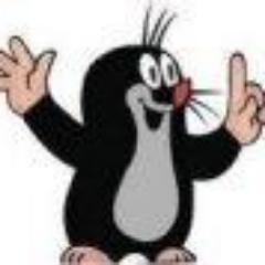 RomualdTomaszew's profile picture. 