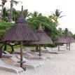 ileMaurice.org ๐ฒ๐บ (@ilemauriceorg) 's Twitter Profile