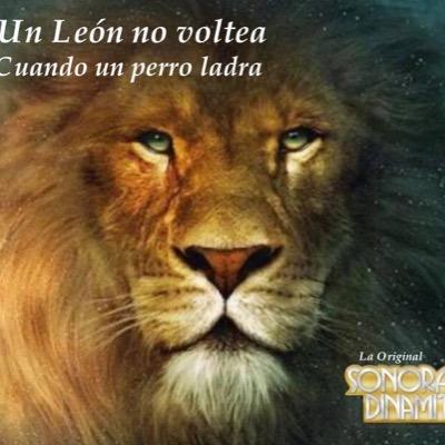 CAlelegre's profile picture. Christian