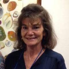 kaiulaniwinter's profile picture. Find your rhythm and dance with life . . .