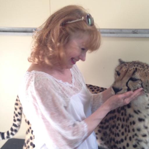 AngelsUnLTD's profile picture. Go through the door that's open not the one you think should be open. Jim Houghton