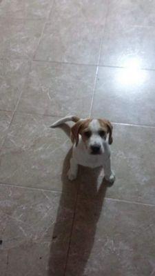 Limayse's profile picture. 