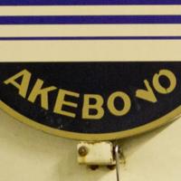 ボボ・AKEBOVO(@AKEBOVO) 's Twitter Profile Photo
