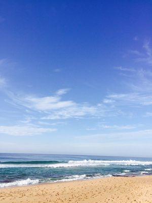 ladybird1759's profile picture. i love my Lord to bits. dedicate my time to  animal charity.  to those that cant speak for themselves. abuse tick me off.