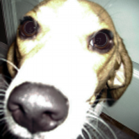 Benny Boy (@whitect) 's Twitter Profile