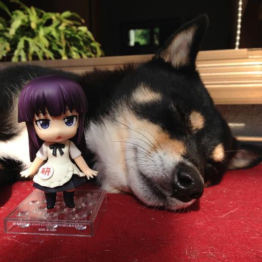 きょやさんのプロフィール画像