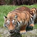 عبدالقهار ابراهيم (@05398261631kwb1) Twitter