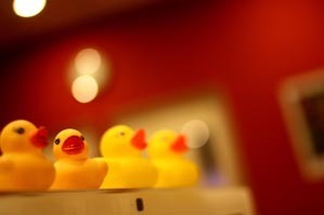 replugged's profile picture. seriously, pop!
official school of contemporary music.