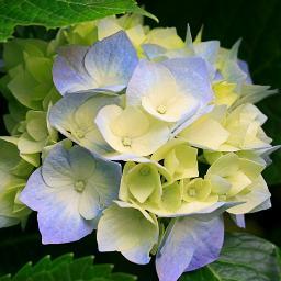 KashyapMectech's profile picture. 