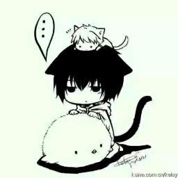 highmath_final's profile picture. 