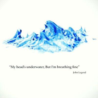 DeenaHaneef's profile picture. Trying to do something today that my future self will thank me for.