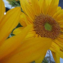 PaulLykos's profile picture. 