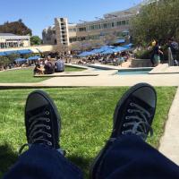 Jose Macias (@macias_science) Twitter profile photo