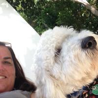 robyn (@robynposner) 's Twitter Profile