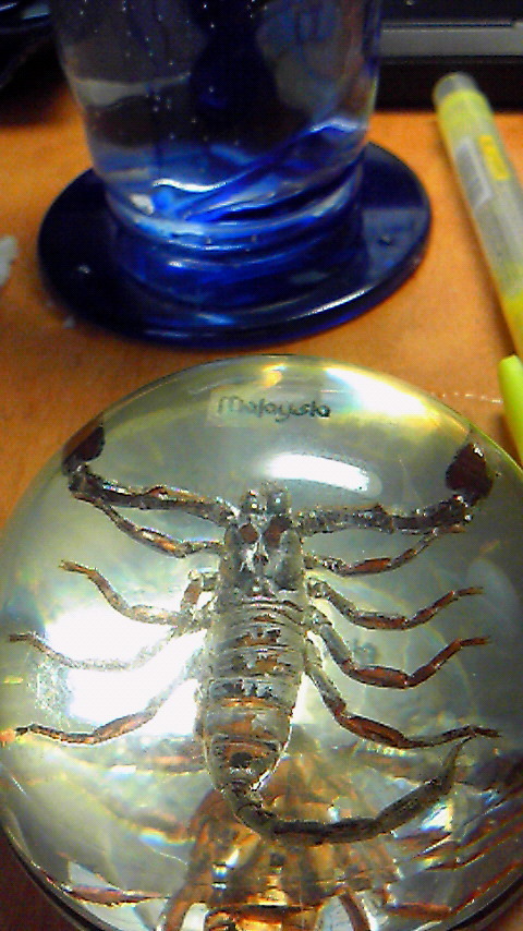 Dusk__Dawn's profile picture. 🟥YNWA🟥TESLA🟥