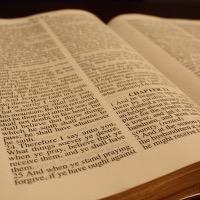 adventistbruh's profile picture. Living in the light of His word