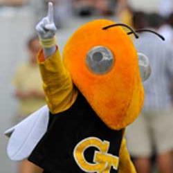 wdorman's profile picture. 