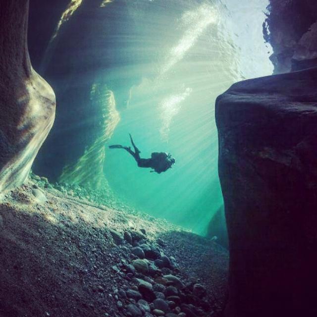 Proud Muslim Sunna|Father|Saudi| Dive Master| Cyclists |Green life|Taurus|Hi-Tech|DIY|Ex-Banker |Birkman method consultant|Professional trainer |Hydroponicist