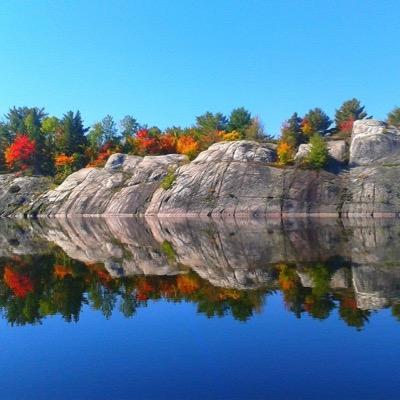 cgard22's profile picture. 