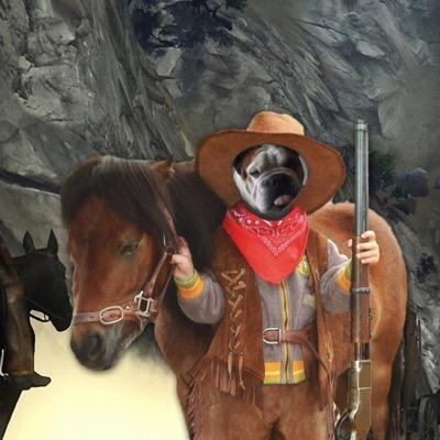 Daniele78230338's profile picture. 