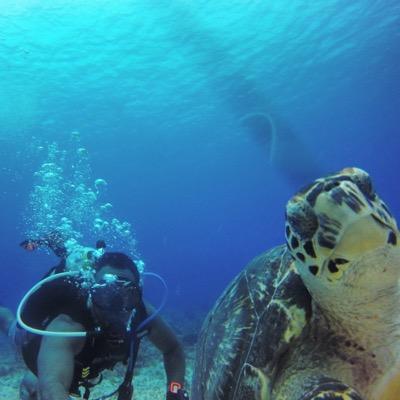 NAUI Master Diver. 1️⃣ of Gru's Minions. Will work for Jordan's. I speak in gifs. Just a 🐟 without gills occasionally coming up for a slice of 🍕.