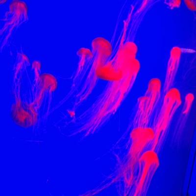 socavibes_'s profile picture. 