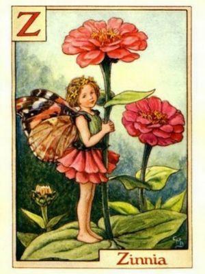Conservationist or is that conversationist? Maker upper of words. Traveller. Cooks and grows. Crafty walker & SCUBA diving derby skater.
