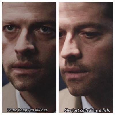 Just another free follow account for my #SPN Family and Youtube Family.
Free Follow from @Kissmishakiss